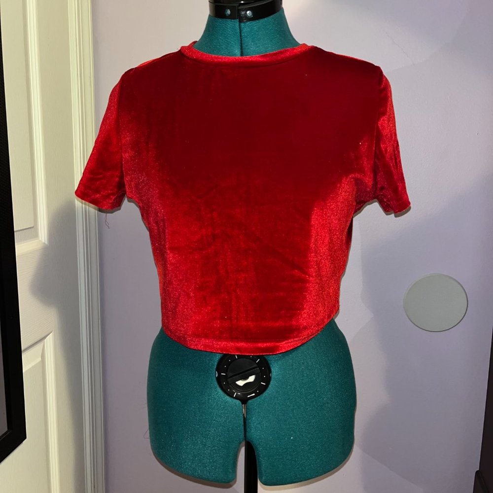 Velvet Crop Top